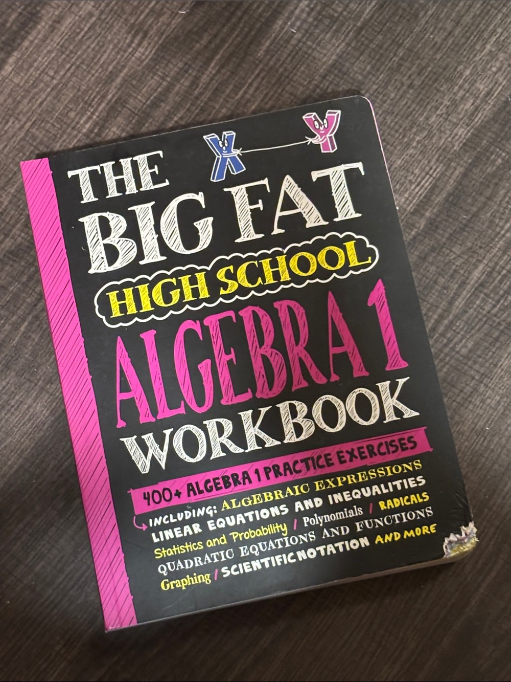 Big Fat High School Algebra 1 Workbook - Black and Purple